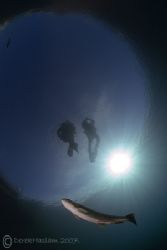 Divers at the surface. Capernwray.
D200, 10.5mm. by Derek Haslam 
